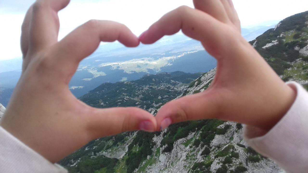 Guesthouse Ukus Durmitora Žabljak Eksteriør bilde